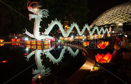 Missouri Botanical Garden, Japanese festival dragon